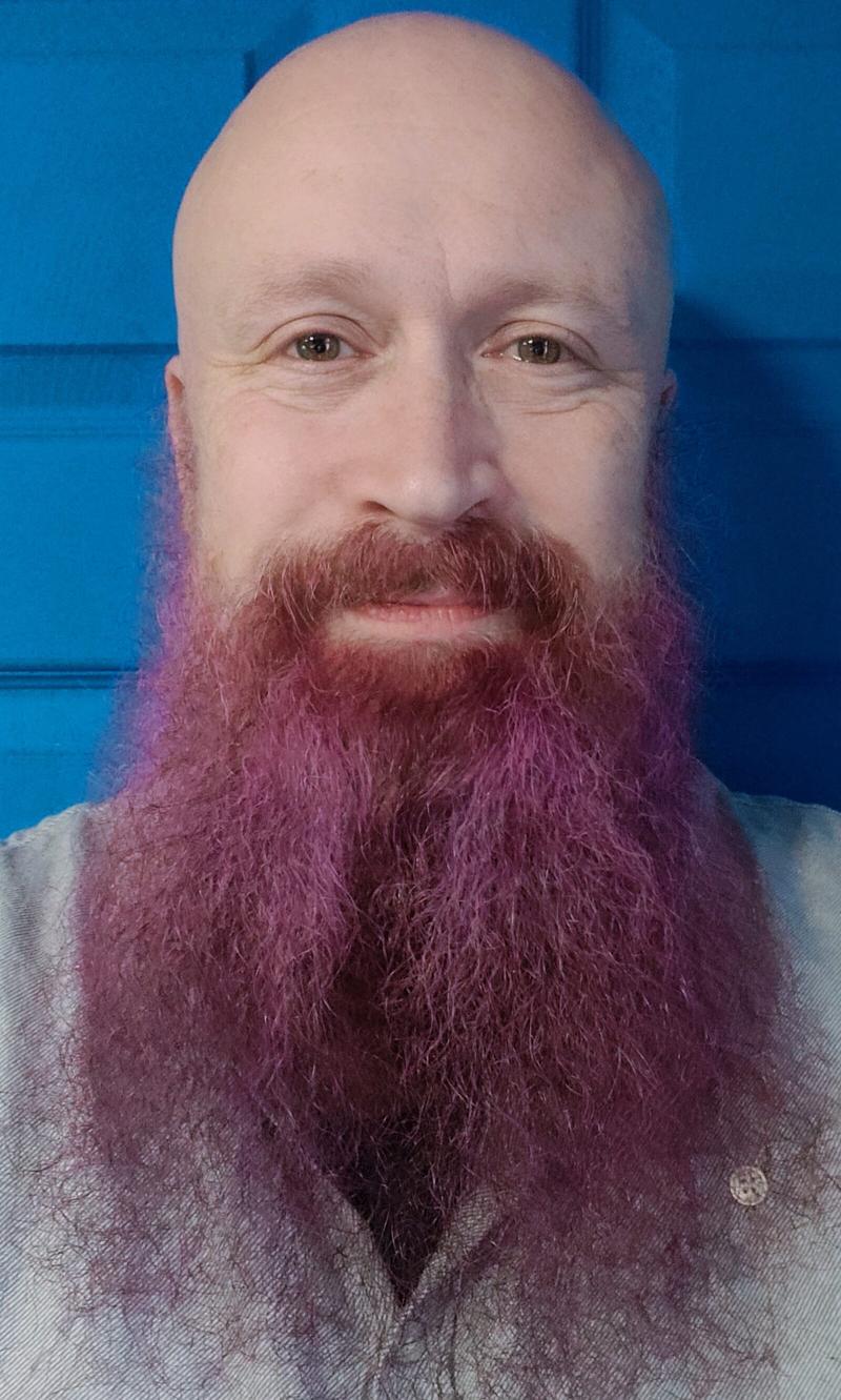 A close up selfie of my face (50 year old, bald, pale skinned man), passport photo style but when a blue background.  My beard is purple. It's pretty hard to convey how purple exactly. The shade is slightly uneven and nearer to pastel then it is to Cadbury's.