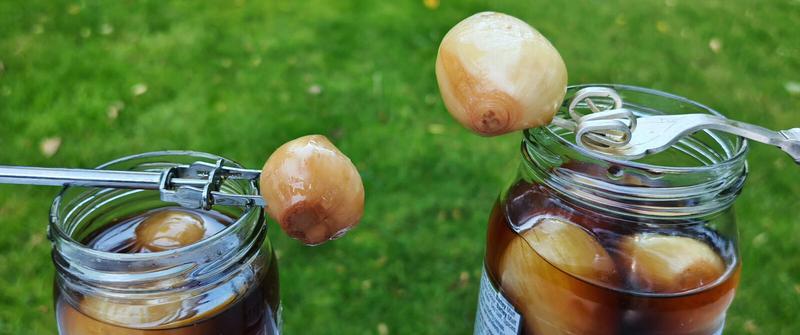 Photo: Two opened jars of Garner's pickled products photographed outdoors against a green grass background, with metal forks holding pickled onions above each jar. The smaller jar on the left contains pickled shallots, whilst the larger jar on the right contains original pickled onions. The onions appear golden and translucent, suspended on the fork prongs ready for tasting.