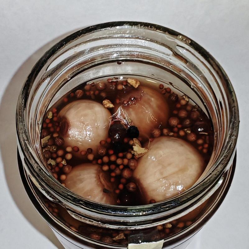 Photo: Top-down view into an opened jar showing several pale pickled shallots floating in dark amber-coloured pickling liquid scattered with visible mustard seeds and other spices. The shallots appear plump and well-preserved, with the spiced vinegar clearly displaying its ingredients throughout the jar. It's like looking into a tiny vinegary universe where shallots drift serenely amongst their mustard seed companions.